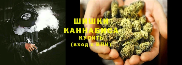 2c-b Бородино