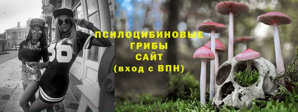 индика Богородицк