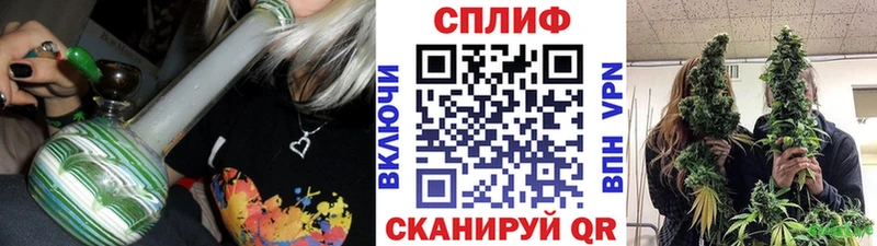 где найти наркотики  MEGA ONION  Бошки марихуана гибрид  Баксан 